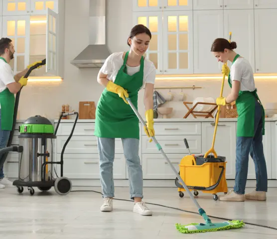 professional-cleaning