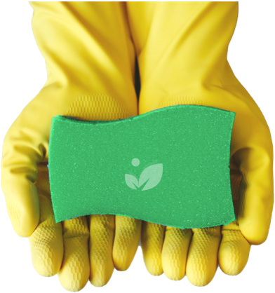 professional-cleaning